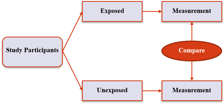 Analytic Prospective Cohort